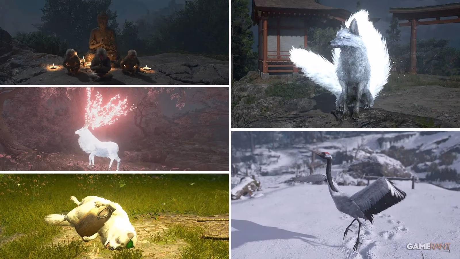 assassin-s-creed-shadows-your-complete-guide-to-finding-all-five-legendary-animals-for-the-a-rare-occurrence-trophy-image-0